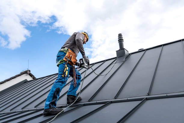 Best Metal Roofing Installation  in Lemoyne, PA